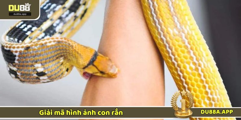 Giải thích hình ảnh mơ thấy rắn cắn
