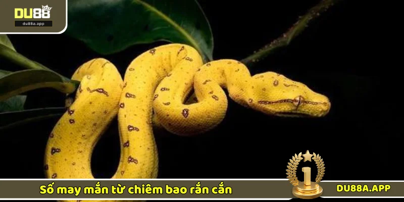 Lý giải con số đẹp phía sau giấc mộng
