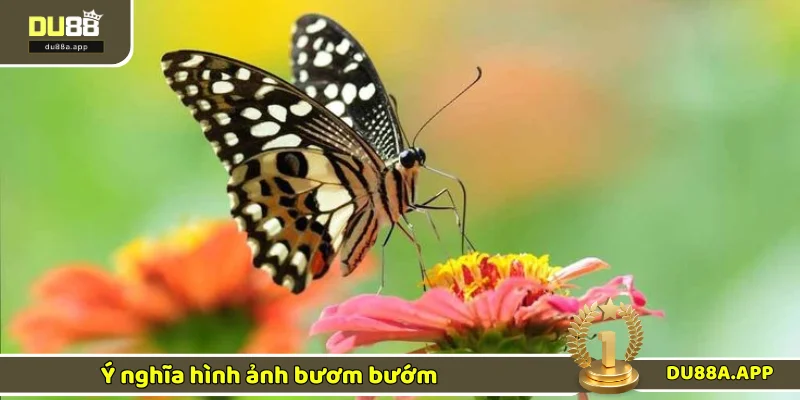Giải thích ý nghĩa ngủ mơ thấy bướm